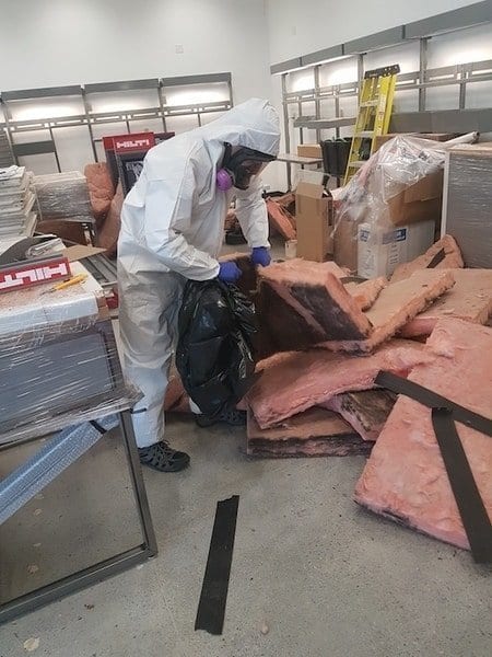 Pest Clean up in action Pest Clean up in action