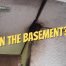 How to get rid of rats in the basement - Westside Pest Control Vancouver
