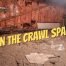 How to get rid of rats in the crawl space - Westside Pest Control Vancouver
