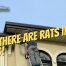 How to get rid of rats in the walls - Westside Pest Control Vancouver