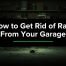 How to get rid of rats from your garage - Westside Pest Control Vancouver